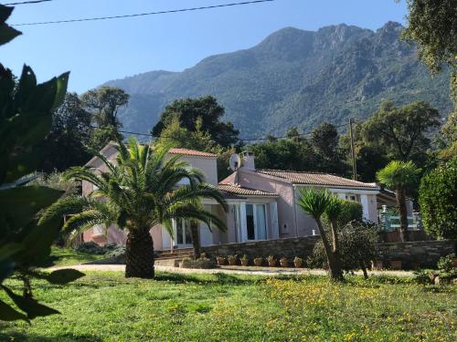 Φωτογραφία από το άλμπουμ του CHAMBRE HOTES CARPE DIEM σε Santa-Maria-Poggio