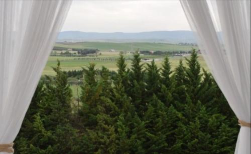 a window with a view of trees and a field at Le Nicchie Guest House in Lucera