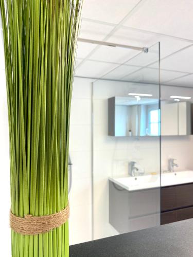 a bathroom with a green plant in the bathroom at Appartement Scheepers in Valkenburg