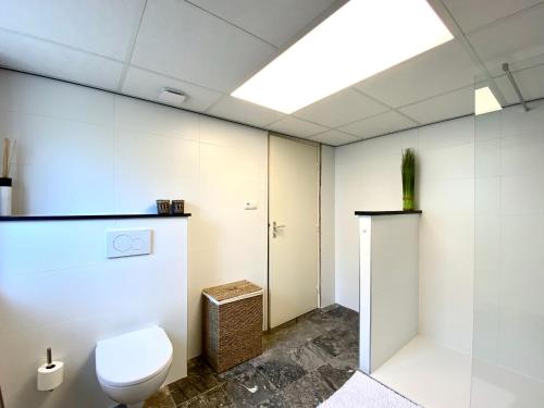 a bathroom with a white toilet and a window at Appartement Scheepers in Valkenburg