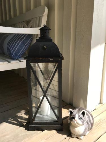 a cat sitting next to a lantern on the floor at Lyckhus in Ljungskile