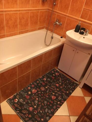 a bathroom with a bath tub and a sink at Apartmán Štefánka in Púchov