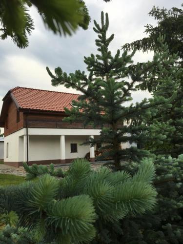 a house with a pine tree in front of it at Pokoje Kasztanowa in Wilkasy