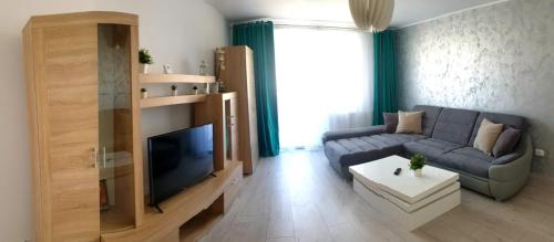 a living room with a couch and a tv at Apartament Central Radu in Sibiu