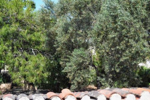 Φυσικό τοπίο κοντά σε αυτό το διαμέρισμα
