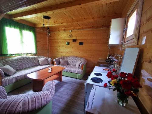 Χώρος καθιστικού στο Wooden House "Una"