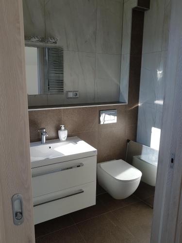 a bathroom with a sink and a toilet and a mirror at Apartmány Stráň in Potŭčky