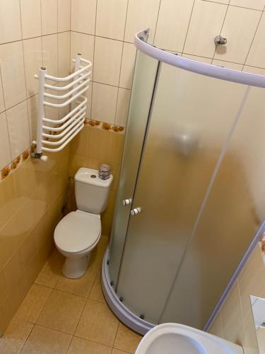ein Bad mit einem WC und einer Dusche in der Unterkunft Resthouse in Truskawez