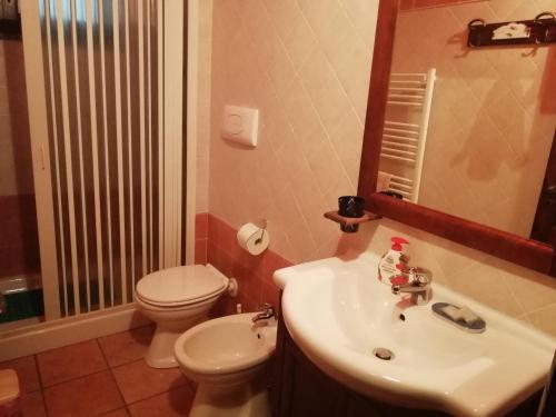 ein Badezimmer mit einem Waschbecken, einem WC und einem Spiegel in der Unterkunft Le Chalet del Pollino in Rotonda