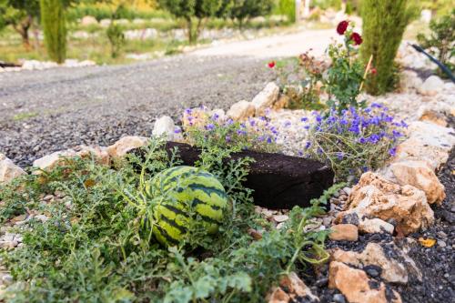 a rock garden with flowers and a watermelon at El BURGO DE OSMA ALOJAMIENTO RURAL VILLA BAGH in El Burgo de Osma