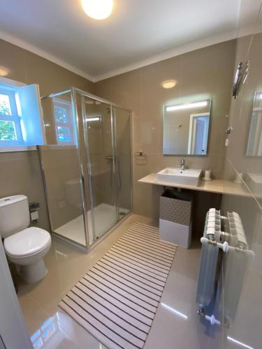 uma casa de banho com um chuveiro, um WC e um lavatório. em Turra Nature House em Celorico de Basto