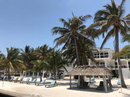 - une rangée de chaises et de palmiers sur une plage dans l'établissement Corona del Mar, à San Pedro