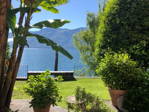Gallery image of Apartments Posta al Lago in Ronco s/Ascona - Porto Ronco