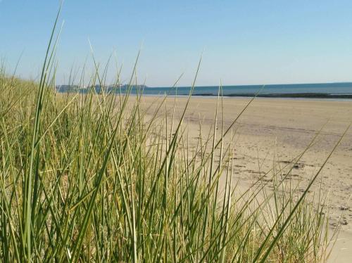 a sandy beach with tall grass and the ocean at Maison de La Beslière meublé de tourisme 2 étoiles in Folligny