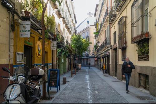 Beautiful and comfortable flat in center of Madrid