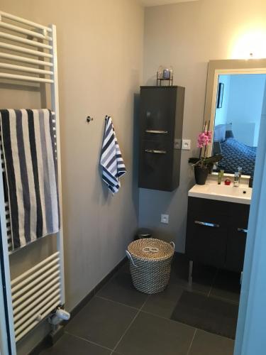 une salle de bain avec un lavabo et un miroir dans l'établissement Residence Belle Epoque, à Wimereux