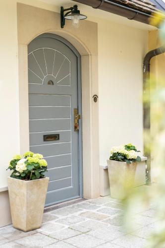 a blue door on a house with two potted plants at Haus im Schlossergässchen in Baden