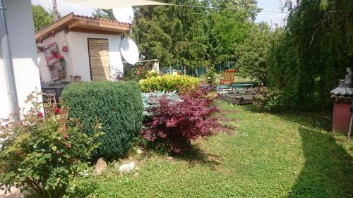 Taman di luar Vendég kuckó