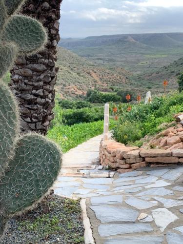 a stone walkway with a cactus next to a stone wall at La Almendra y El Gitano in Agua Amarga
