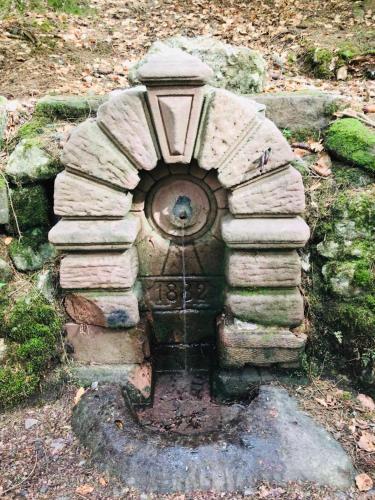 a small water fountain in the middle of a yard at Haus Jenni im Schwarzwald, 3,5-Zimmer, große Terrasse in Freudenstadt