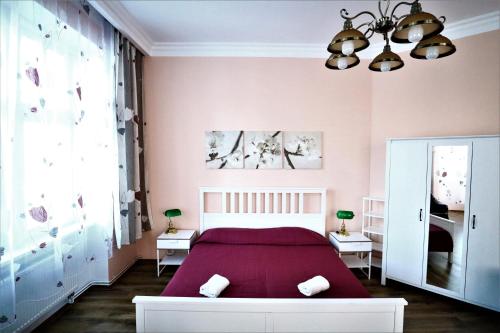 una camera con letto viola e specchio di Apartment on Krale Jiriho 2 a Karlovy Vary