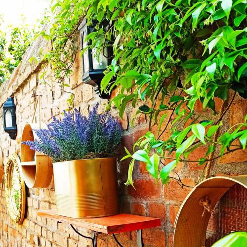 a potted plant sitting on a bench next to a wall at Set Özer Hotel in Canakkale