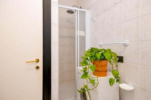 トスコラーノ・マデルノにあるAppartamento Dialma'sのバスルーム(トイレに植物あり)