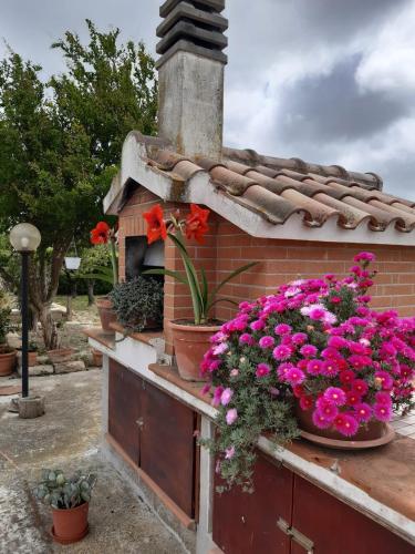 a flower box with pink flowers on a brick wall at Agriturismo Corte degli Angeli in Marina di Grosseto