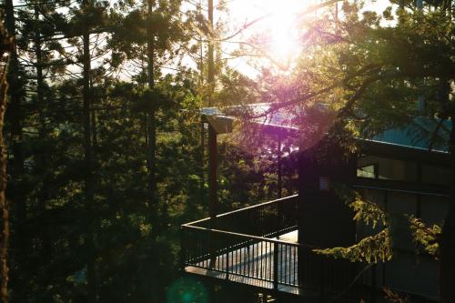 a building in the woods with the sun shining through the trees at Rainforest Gardens - Luxury Hillside Accomodation with Views to Bay & Islands in Mount Cotton