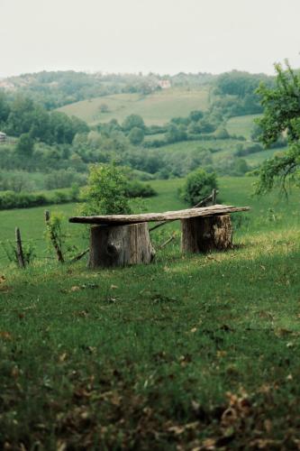 a bench sitting on top of a tree stump at Kačara Vodeničko brdo in Pranjani