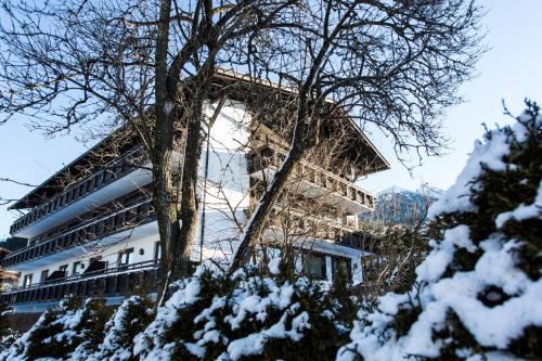 Appartementhaus Solstein v zimě