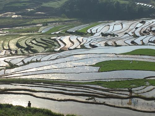 ホームステイの近くで見られる自然の景観