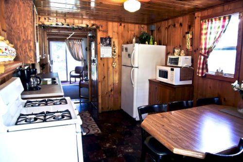 a kitchen with a stove and a refrigerator and a table at Cabin #7 - Northwoods Retreat cabin in Carp Lake