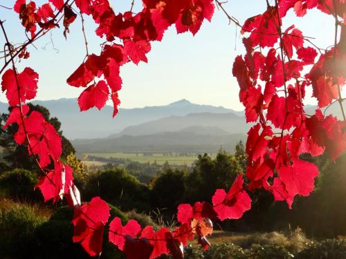 a branch of red leaves with mountains in the background at Mitchella Eco Stay in Wanaka