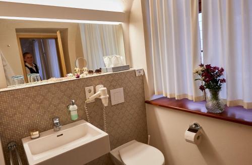 ein Badezimmer mit einem Waschbecken, einem WC und einem Spiegel in der Unterkunft Am Malerweg in Pirna