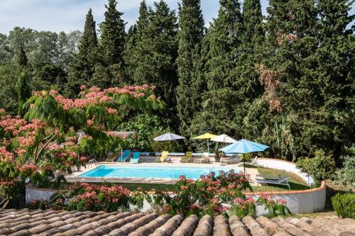 une piscine avec des chaises et des parasols dans un jardin dans l'établissement gîte du Pigeonnier Mas Médaille, à Arles