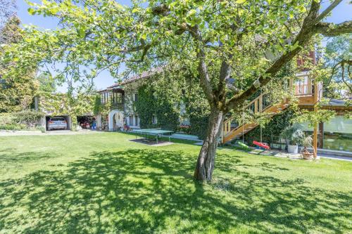 a tree in the yard of a house at Ferienwohnung Julia in Taching am See