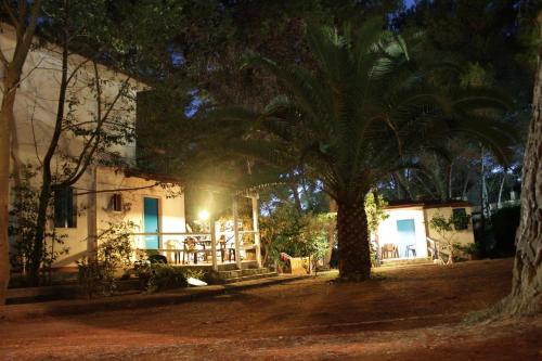 a palm tree in front of a house at night at Appartamenti La Villa Peschici in Peschici
