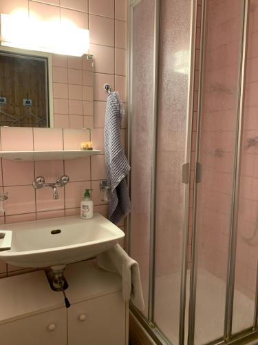 a bathroom with a sink and a shower at Vent_du_Nord in Tramelan
