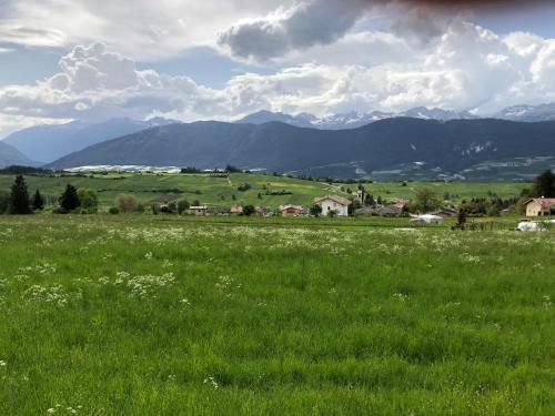 a field of green grass with mountains in the background at Casa Elisa Apartments in Sarnonico