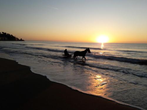 Imagen de la galería de B&B nido sul mare, en Alassio
