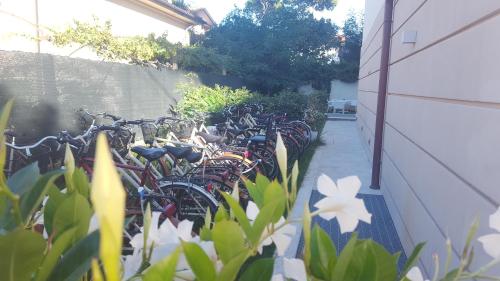 Giardino di Hotel Villa Barsanti