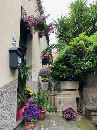 a garden with potted plants on the side of a building at B&B L'Orologio in Signa