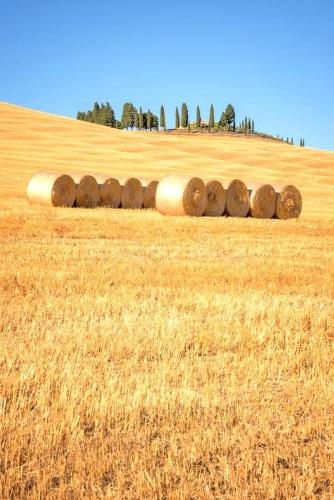 a row of hay bales in a field at Locanda Vesuna Hotel Countryhouse in Pienza