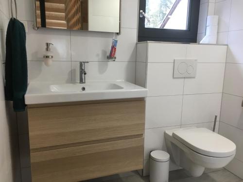 a small bathroom with a sink and a toilet at B&B Het Vogeltje in Harderwijk