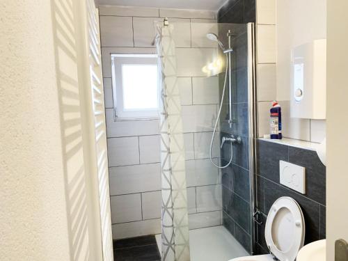 a bathroom with a shower and a toilet at My-Skypalace Bad-Friedrichshall in Bad Friedrichshall