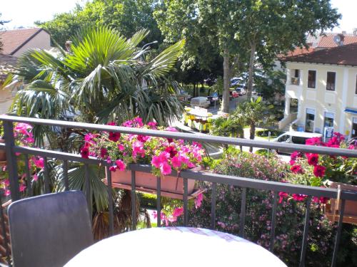 a balcony with pink flowers on a city street at Apartments Tajana in Novigrad Istria