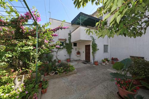 Apartments Anita summer