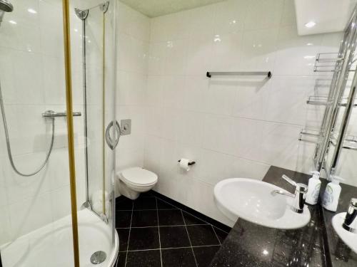 een badkamer met een toilet, een wastafel en een douche bij FeWo Kappi Winterberg in Winterberg