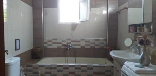 a bathroom with a tub and a toilet and a sink at Pelion Platanidia seaside house in Platanidia